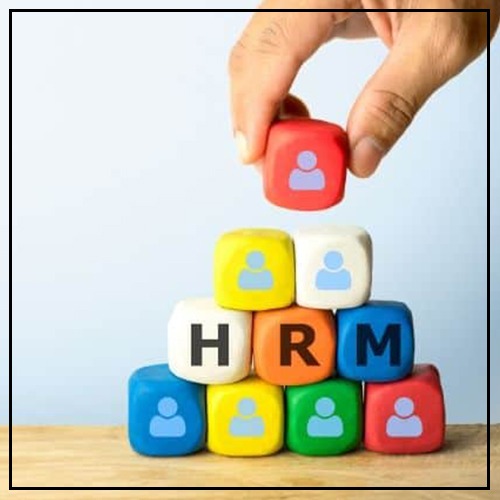 Why You Should Choose Human Resource Management Software?